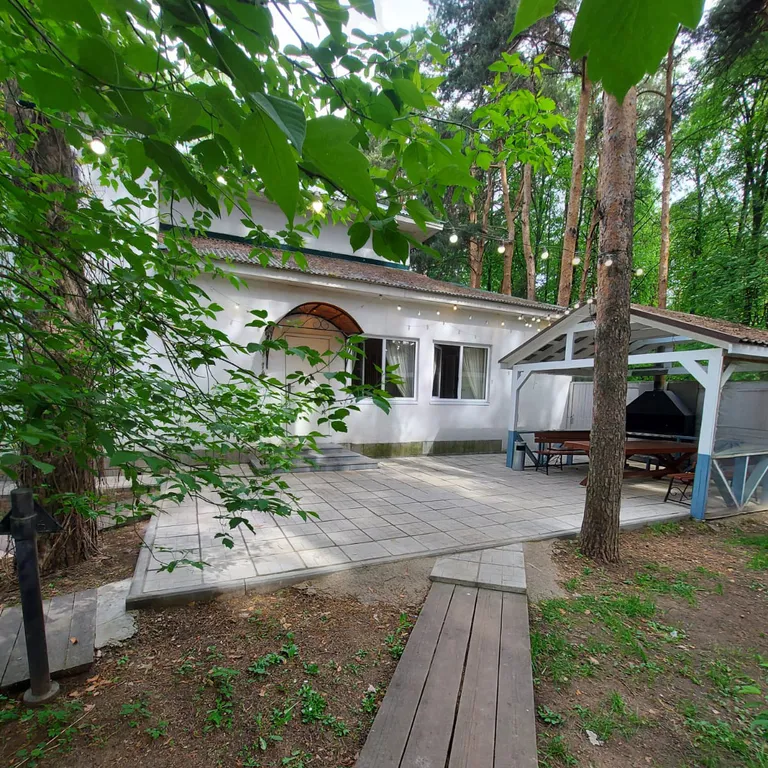 Загородный дом для праздника