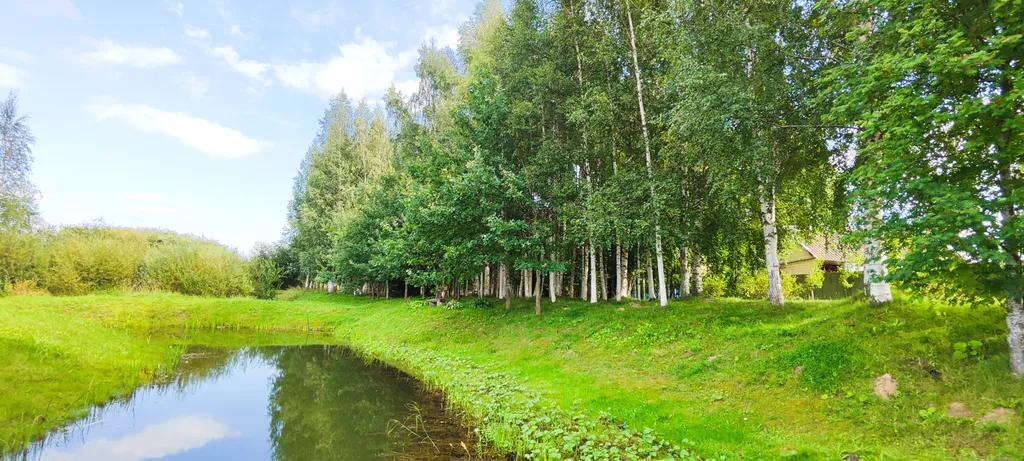 Уединенная дача с прудом и баней у Псковского озера