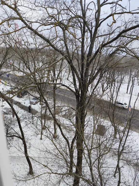 Квартира 1-комнатная в 10 минутах от Городского пляжа