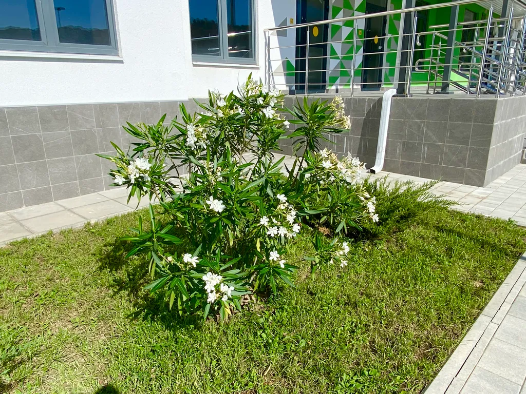 Студия с дизайнерским ремонтом рядом с морем в новом ЖК Летний