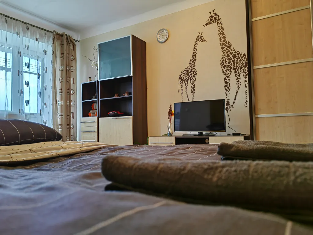 Уютная студия в центре города