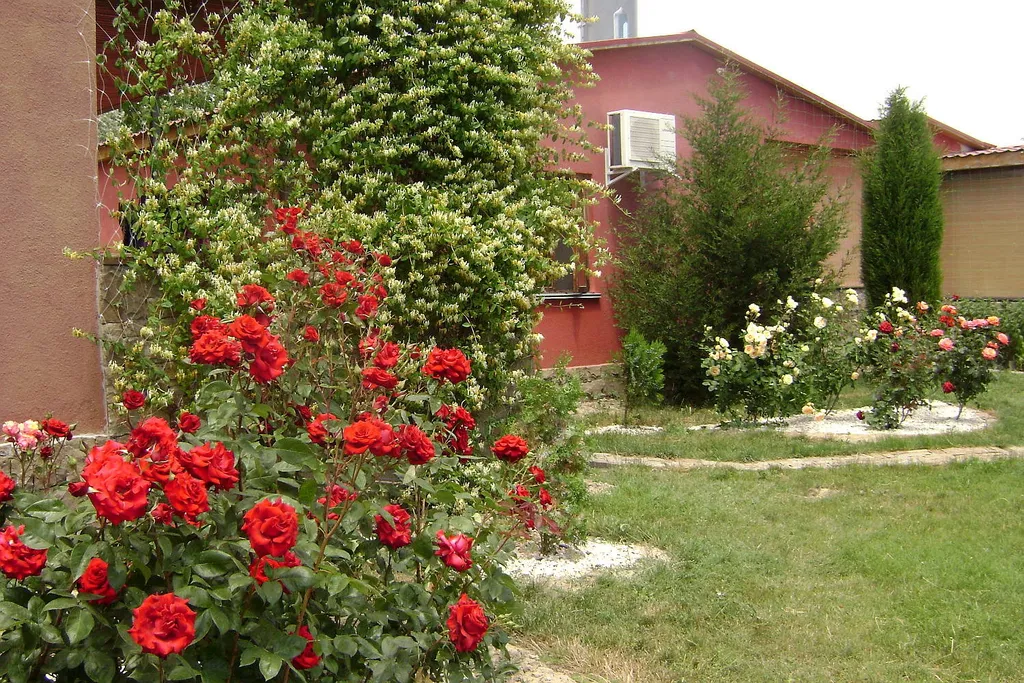 Уютный коттедж с бассейном с морской водой