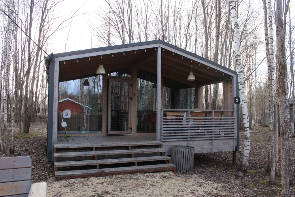 Дом в березовой роще