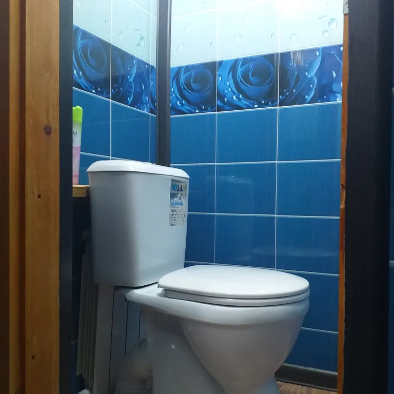 Отдых в Бузулукском бору круглый год с выходом в лес.