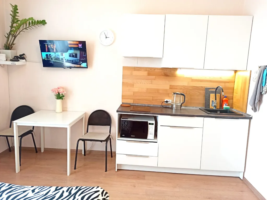 Квартира Чистая, уютная и комфортная студия — Мисайлово