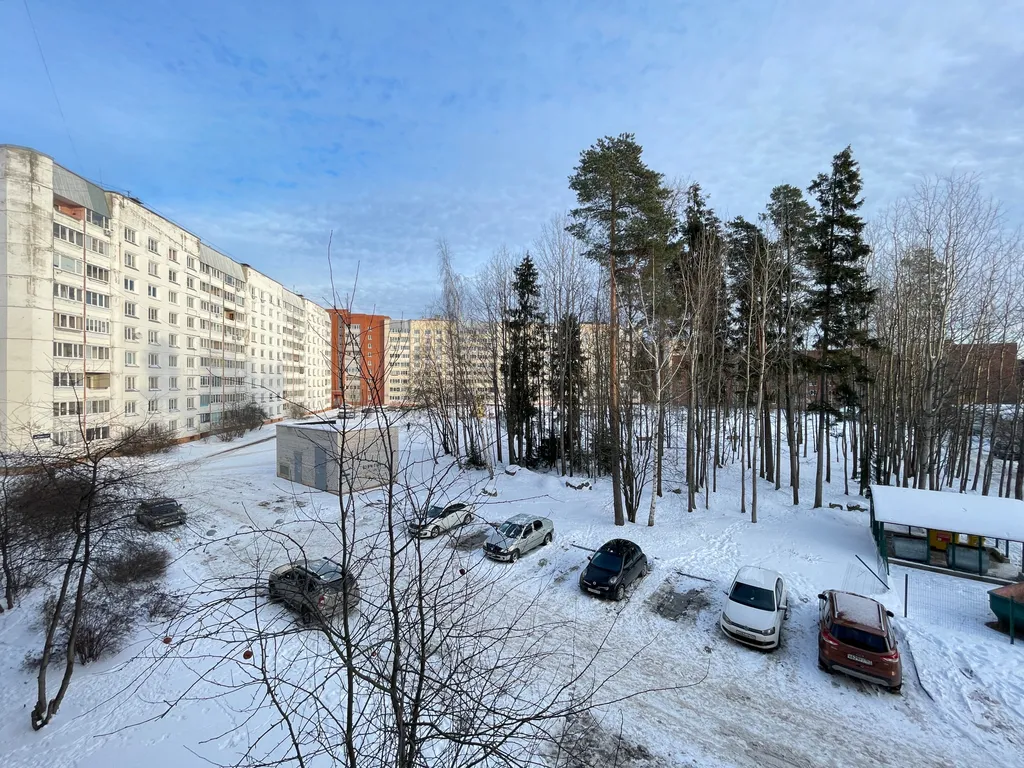 Квартира с видом на сосны рядом с тц "липовский"