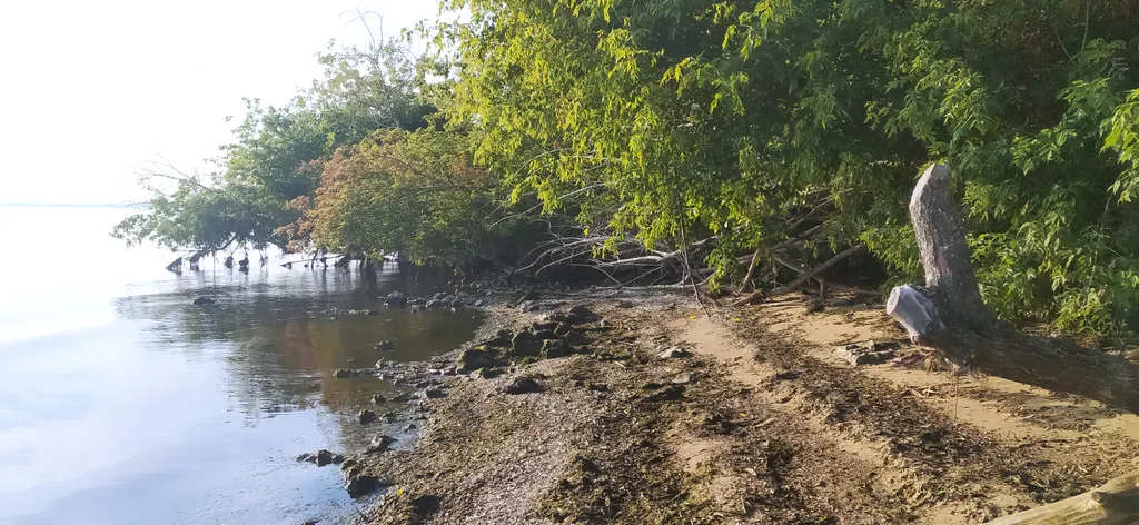 Дом с видом на Волгу