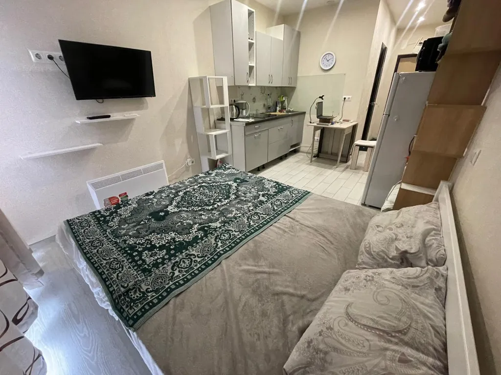 Квартира 1-комнатная Квартира — Сириус