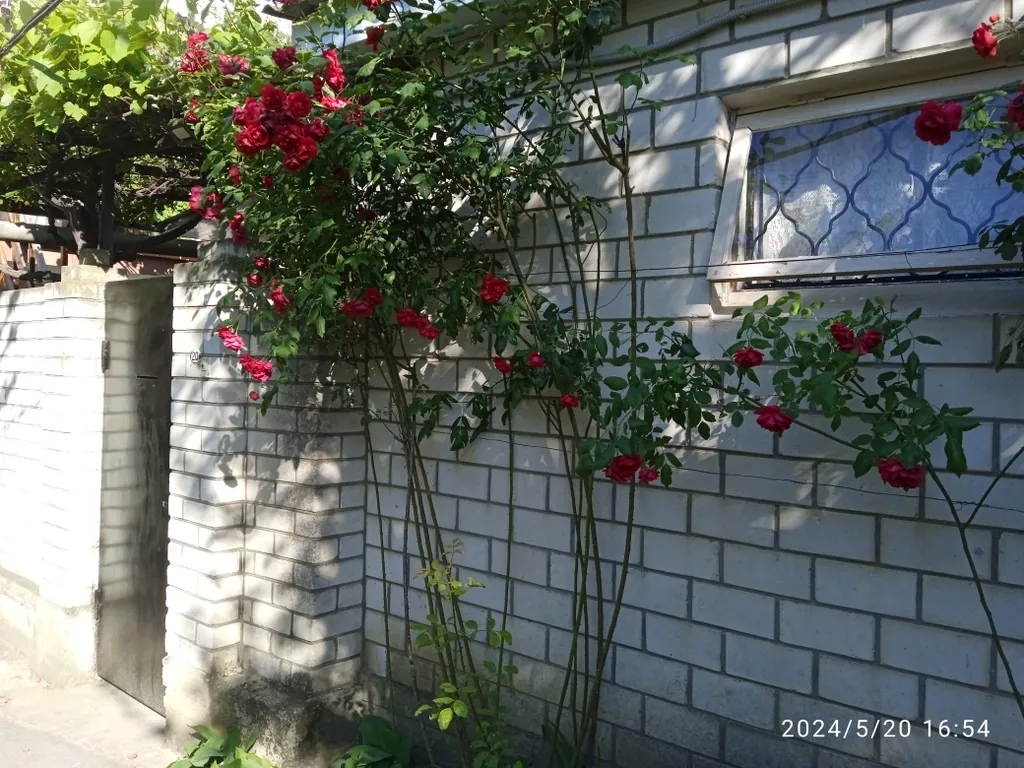 Коттедж 2-комнатный Дом — Анапа