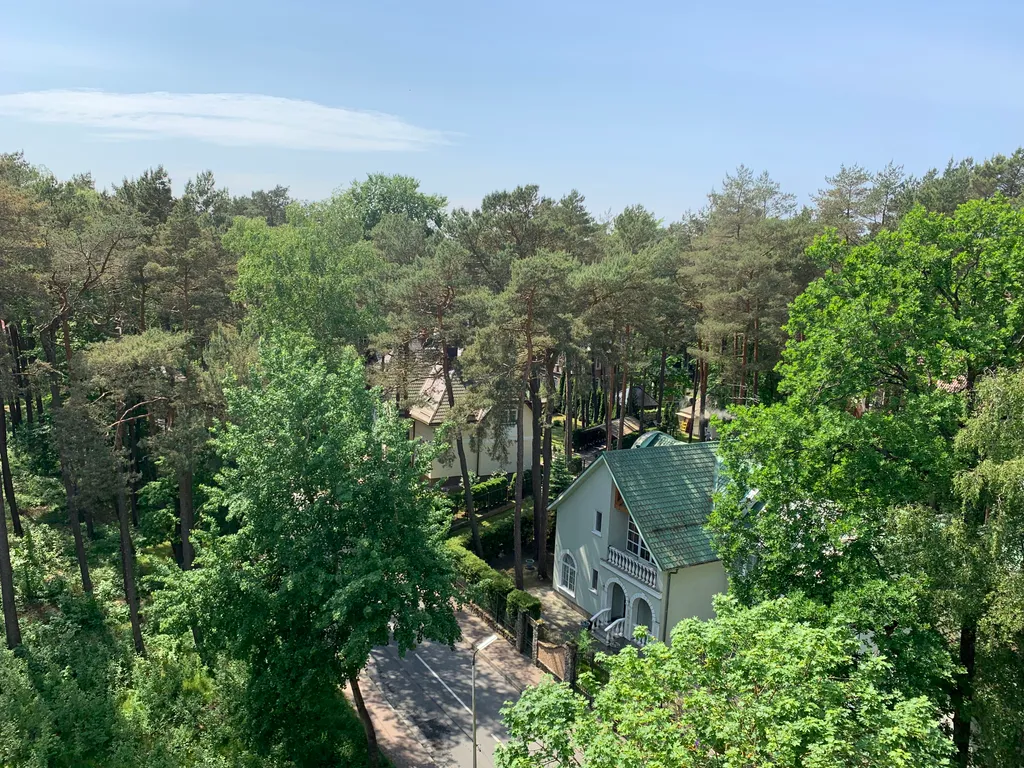 Легенда Светлогорска