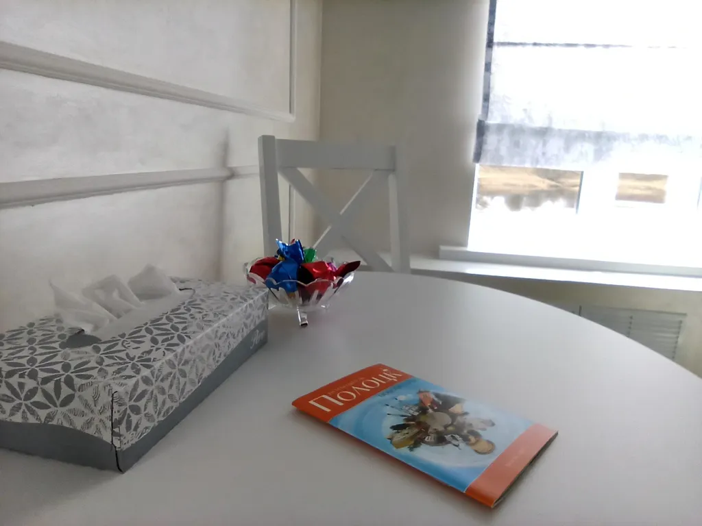 Студия в классическом стиле с видом на реку