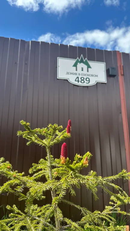 Домик с баней и чаном