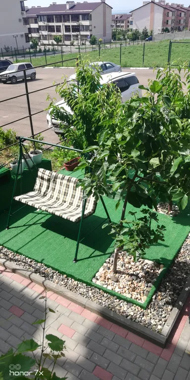 1-комнатная квартира с видом на море и пицундские сосны райский уголок