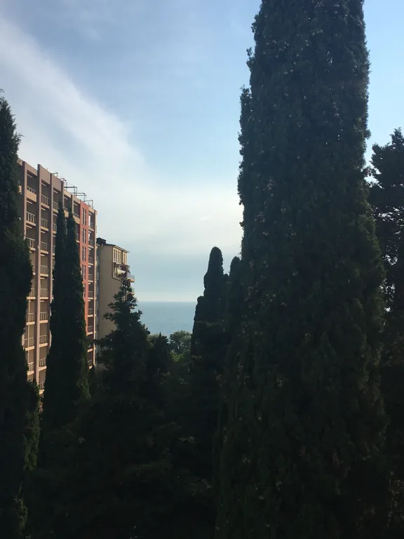 Стандартные апартаменты с 1 спальней