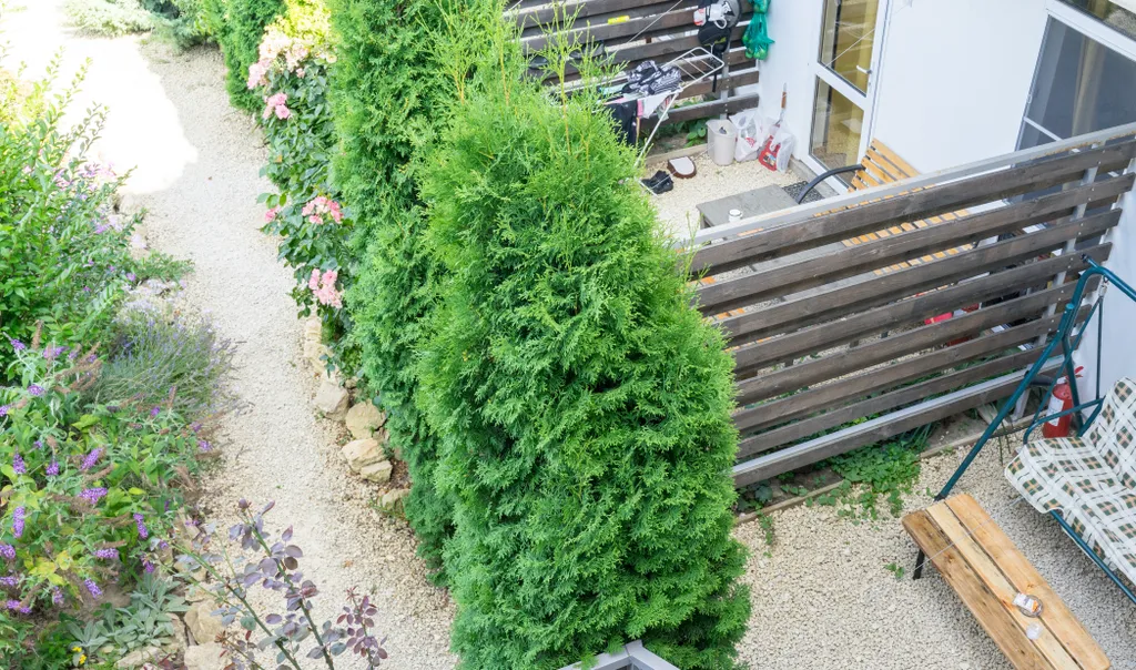 Двухместный стандарт со своей террасой на 1 этаже