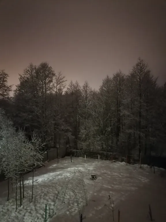 Квартира Комната — Ломоносов