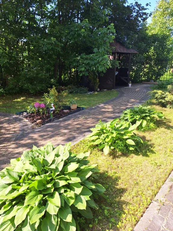 Мансарда у моря