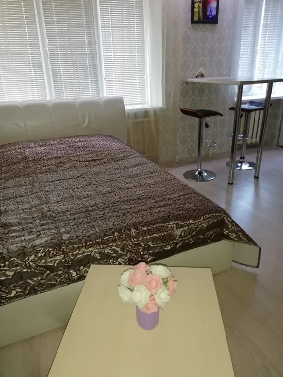 Студия в центре Борисова