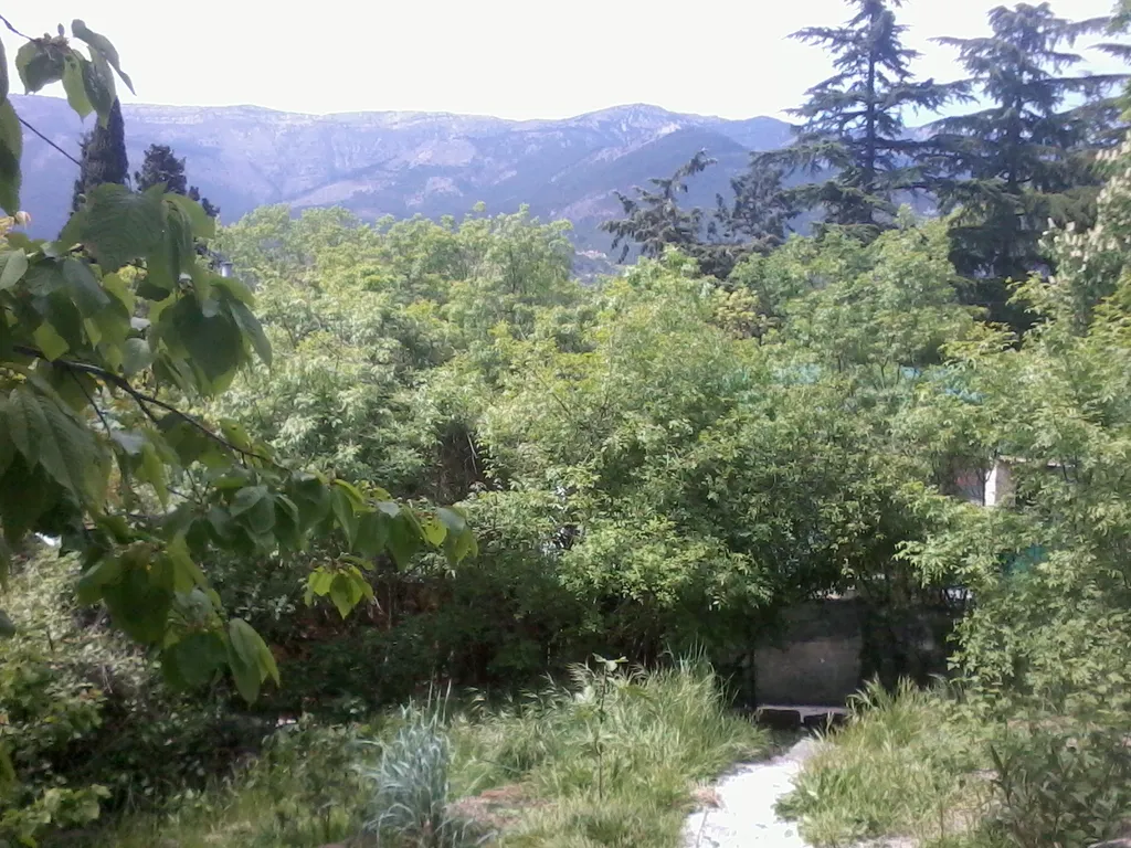 Коттедж Целый этаж в частном доме со своим садом и парковкой — Ялта