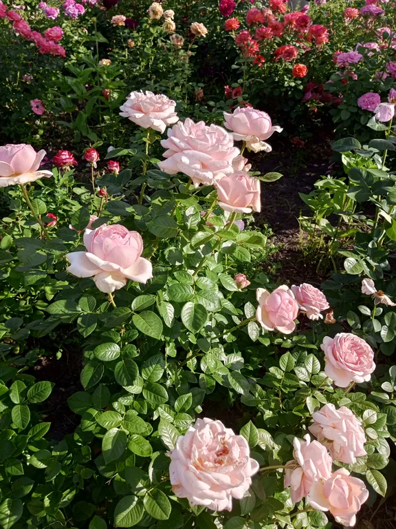 Уютная дача посуточно для семейного отдыха, ночлега