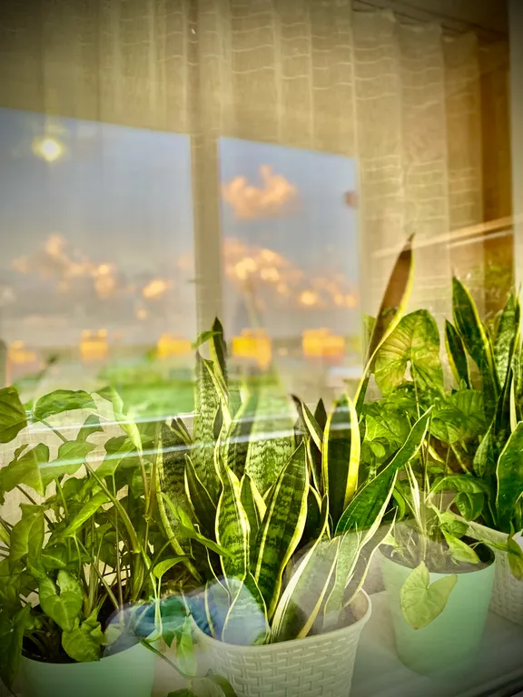 Просторная квартира