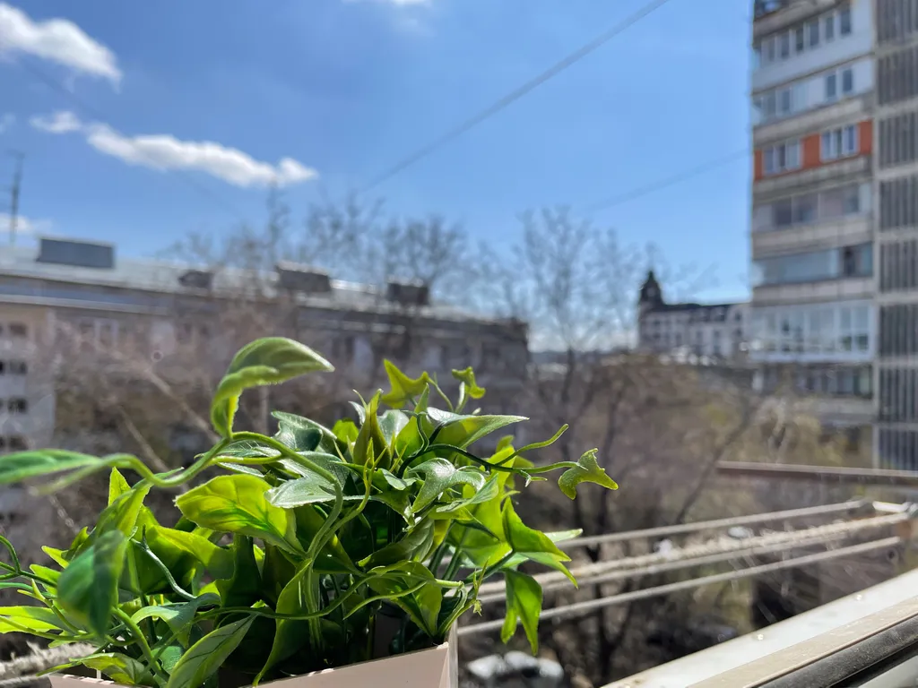 Уютная квартира в центре города