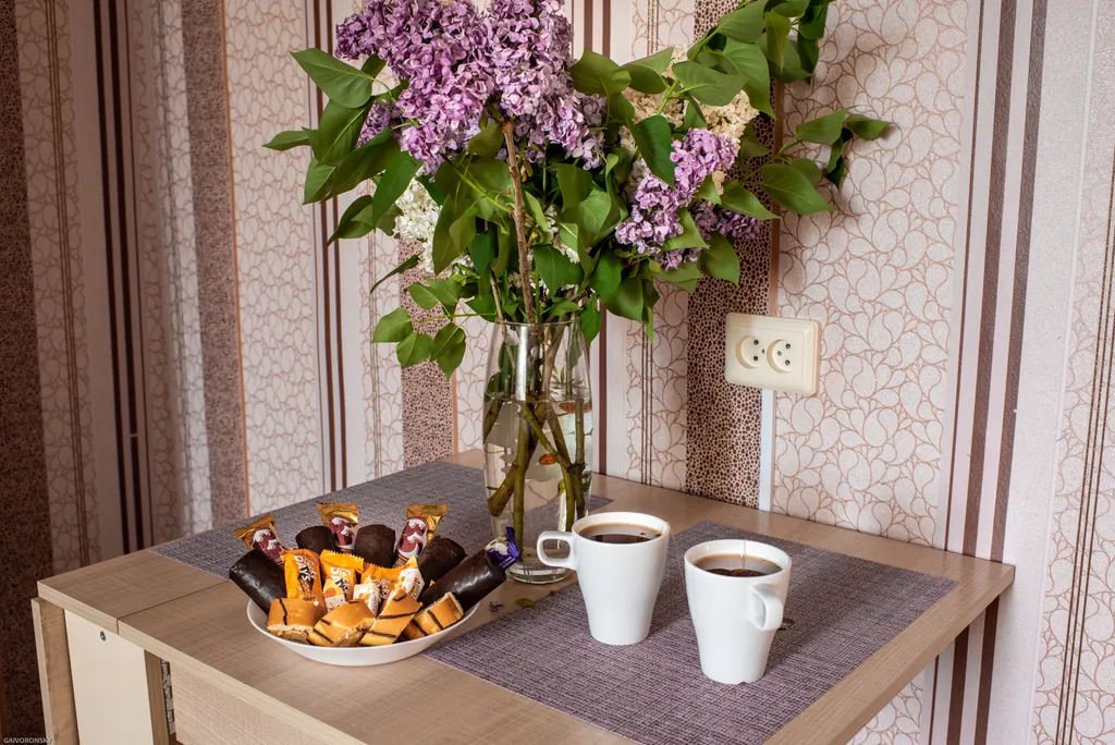 Мини-двухкомнатная квартира в центре города