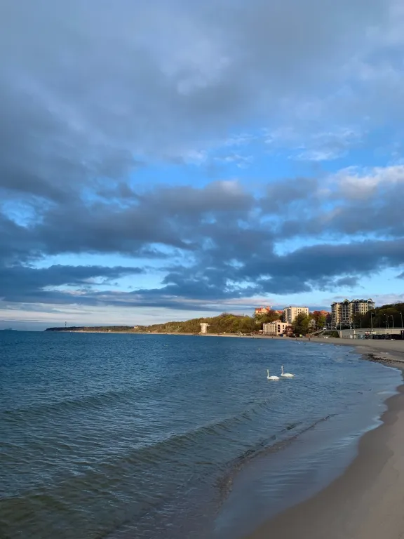 Квартира Квартира Отдых у моря- пляжи Балтики, порт, Пионерский курорт — Пионерский