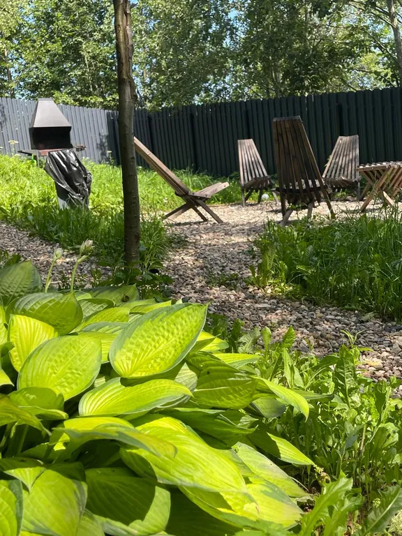 Дом в облаках у леса