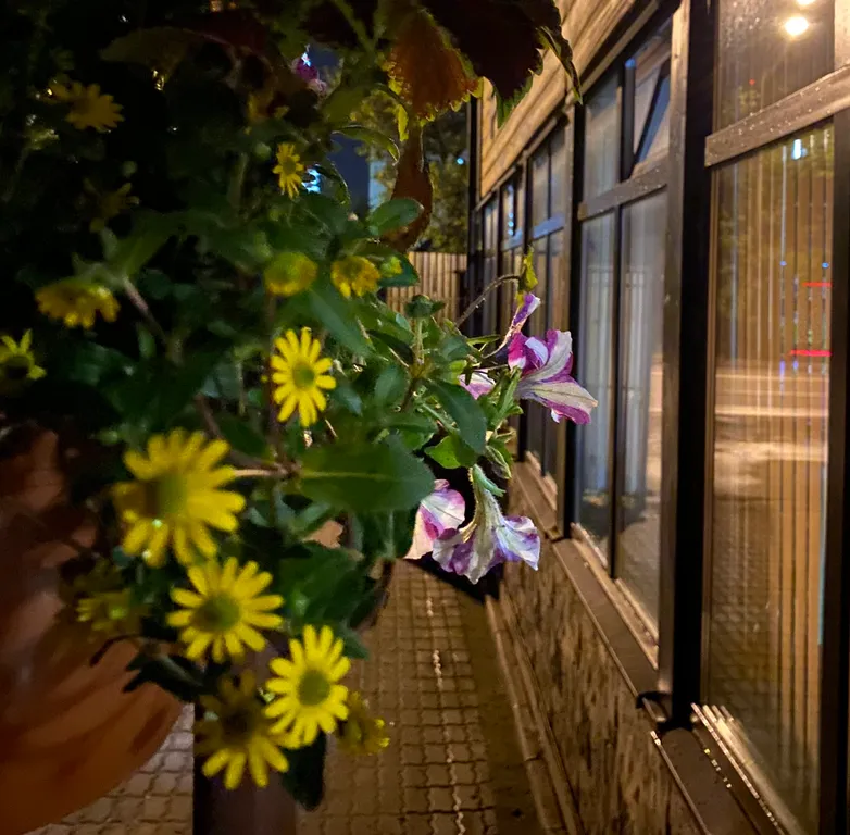 Двухместный номер в Балашихе