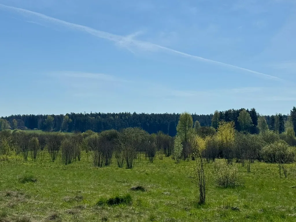 Дом в экологическом чистом месте