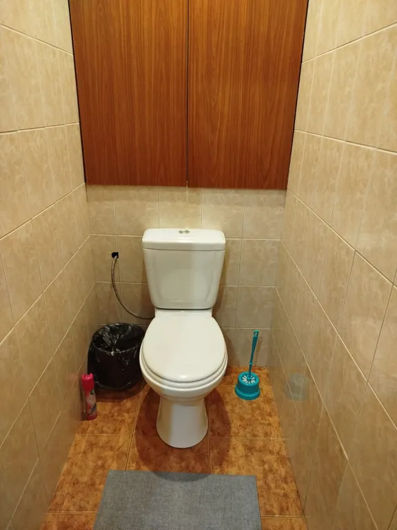 Вместительная квартира на театральной площади