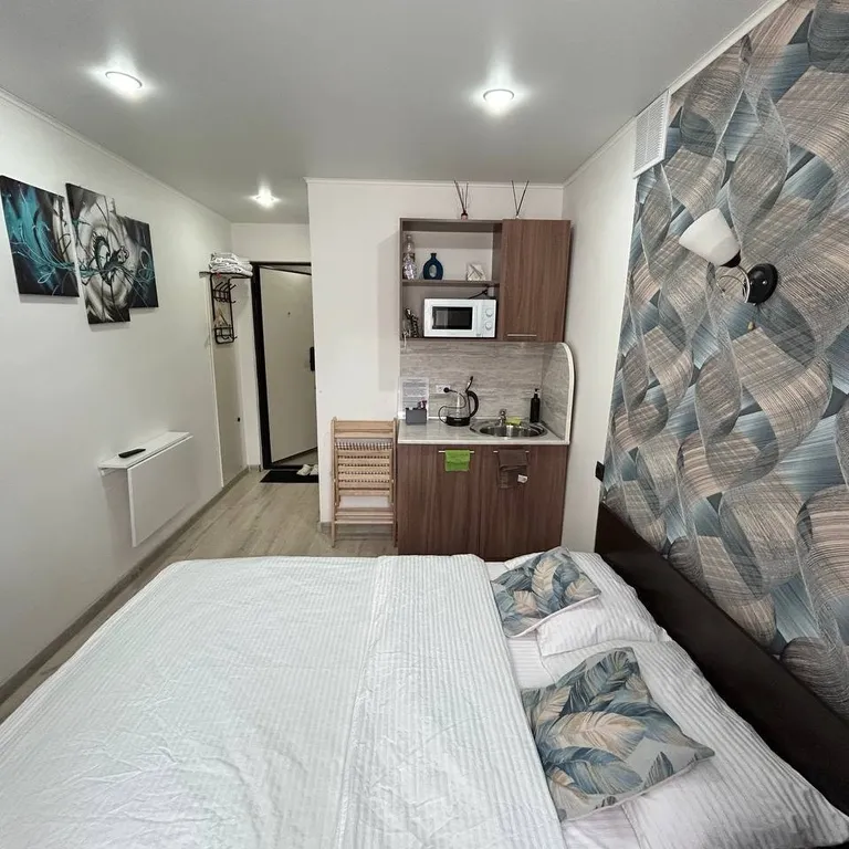 Уютные апартаменты в центре города с видом на парк