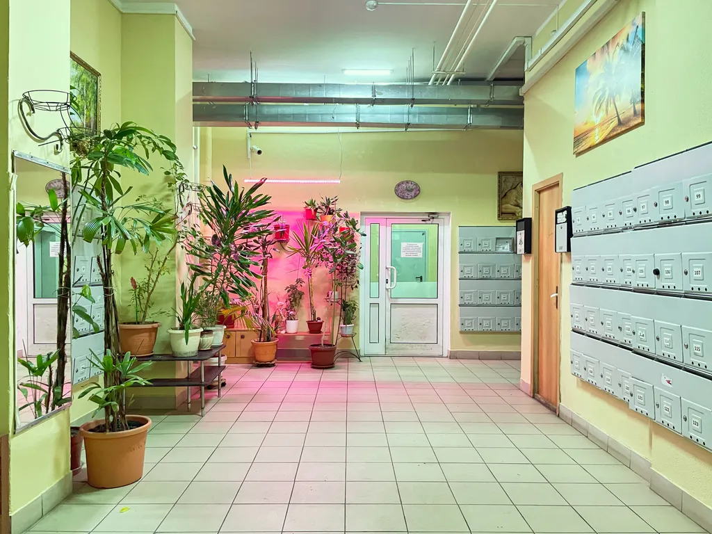 Квартира Уютная и светлая евродвушка в ЖК Парковый — Котельники