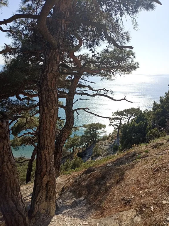 Квартира-студия в Холидей Хаус