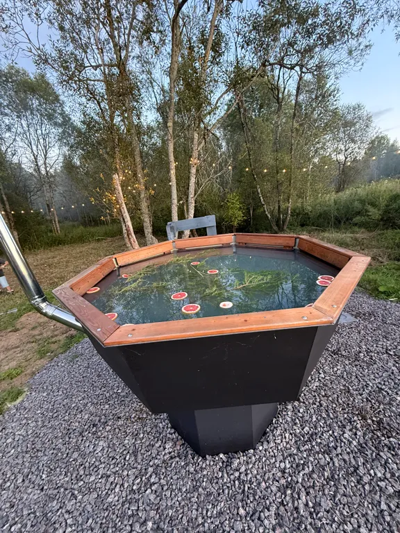 Просторный дом с видом на настоящий лес