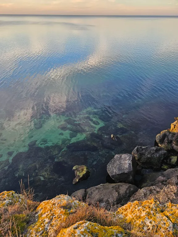 Жилье в Щёлкино