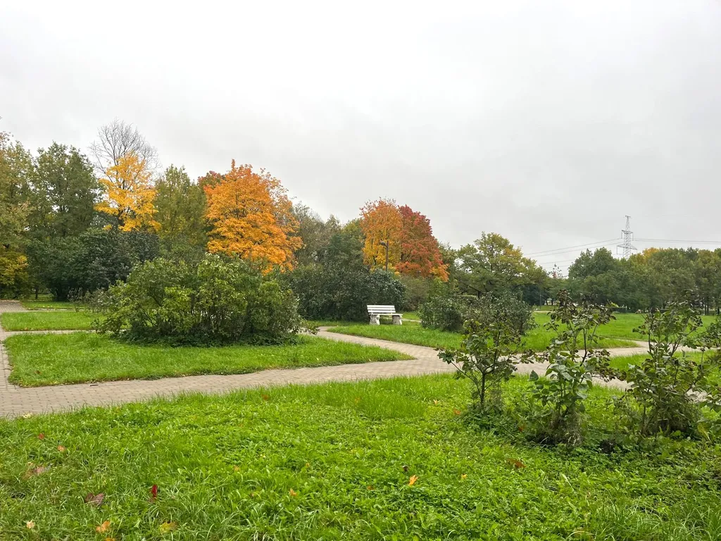 Квартира Квартира у моря - 1 — Санкт-Петербург