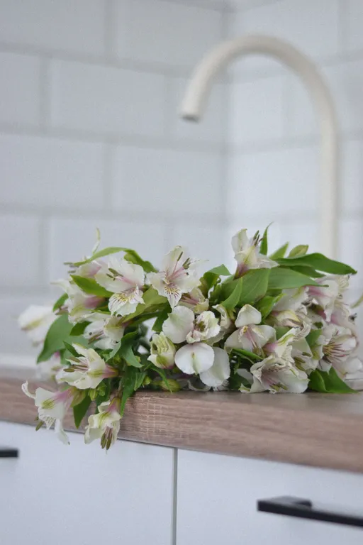 Комфортабельная квартира-студия с видом на город