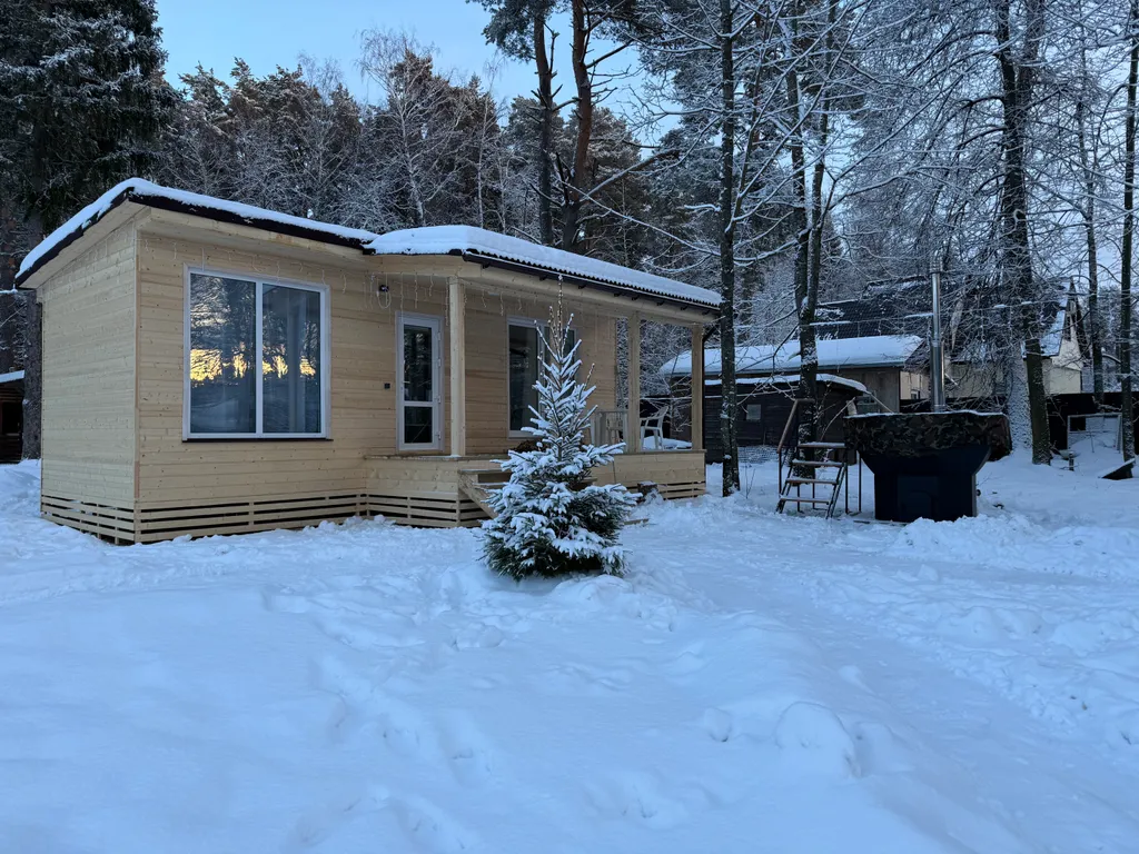 Дом в сосновом лесу