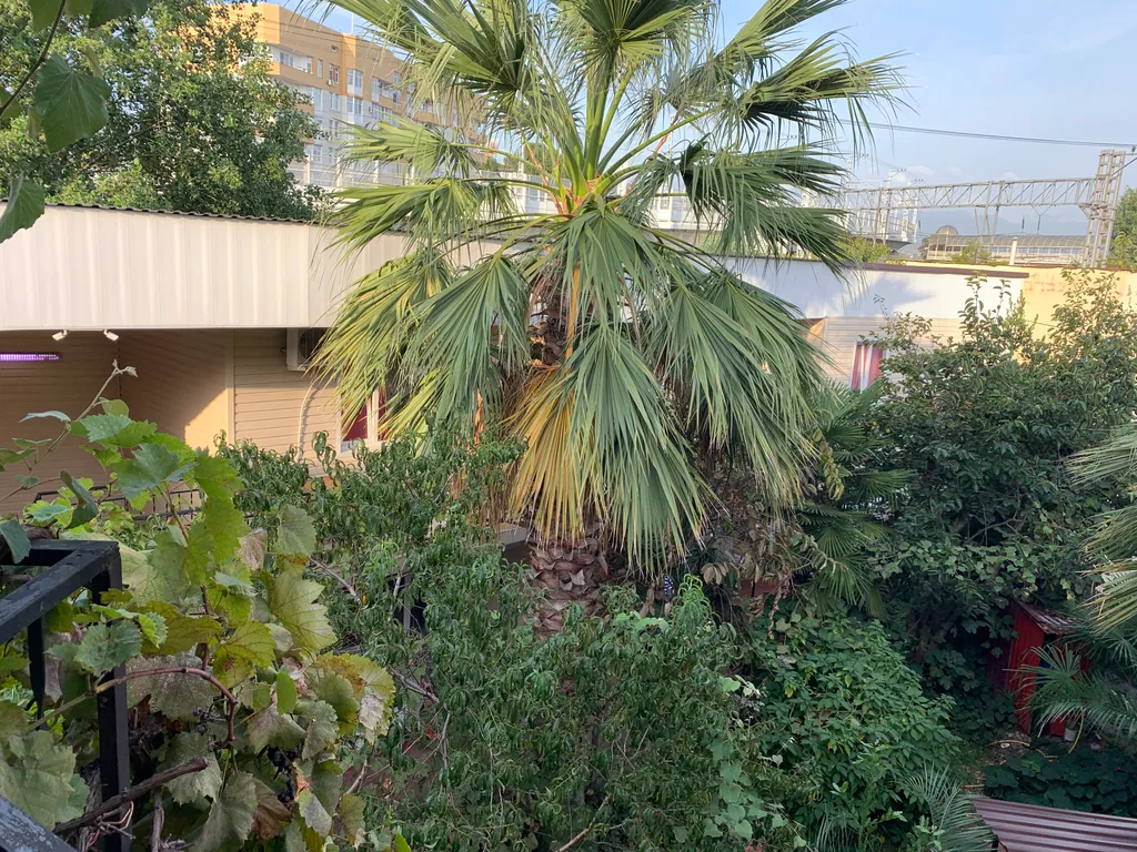 Квартира Комната — Адлер