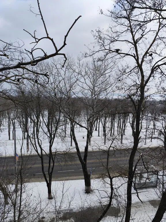 Квартира 1-комнатная в 10 минутах от Городского пляжа