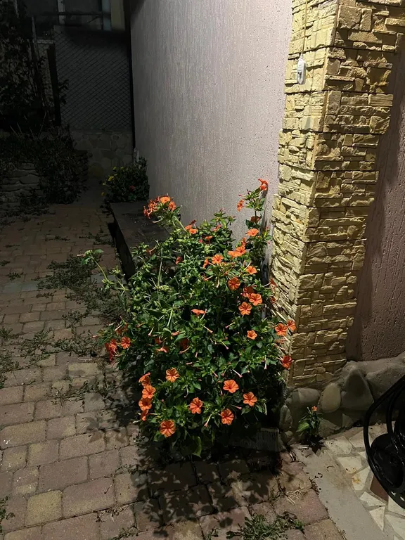 Коттедж Гостевой дом в центре города с беседкой, бильярдом — Новороссийск