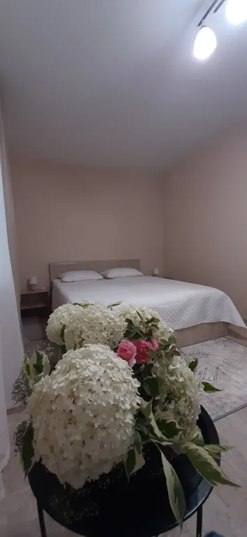 Большой загородный дом