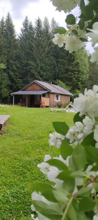 Домик у речки - мечта интроверта