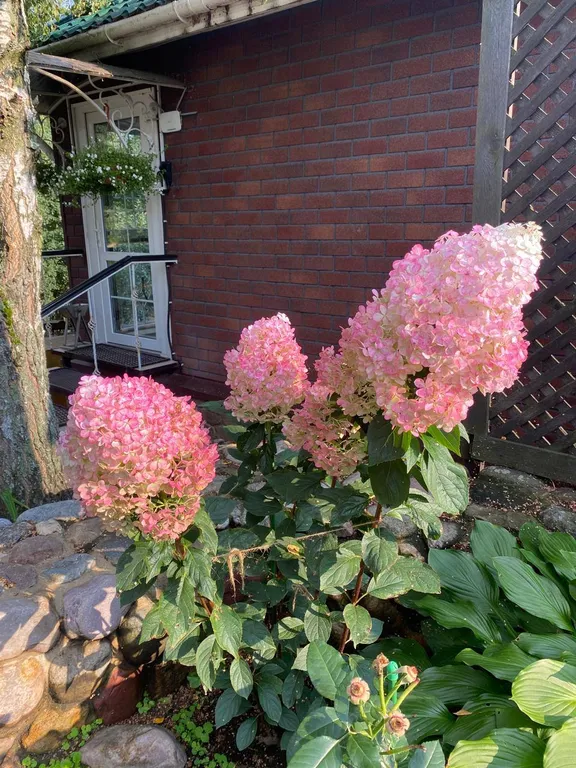 Коттедж Коттедж с пристанью на озере «13 Кордон» — Первая Алексеевка