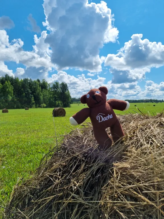 Уютный дом в лесу с Банным Чаном и Сауной