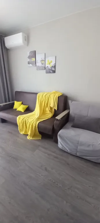 Уютная студия с видом на можжевёловый лес