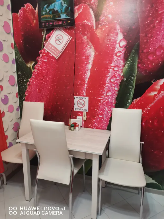 Полярная ночь