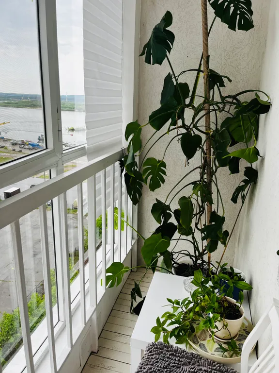 Уютная квартира на набережной с красивым видом из окна